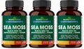 Sea Moss Black Seed Oil Ashwagandha Ginger Burdock Root, Turmeric,Black Pepper | 60 Capsules (Pack of 3)
