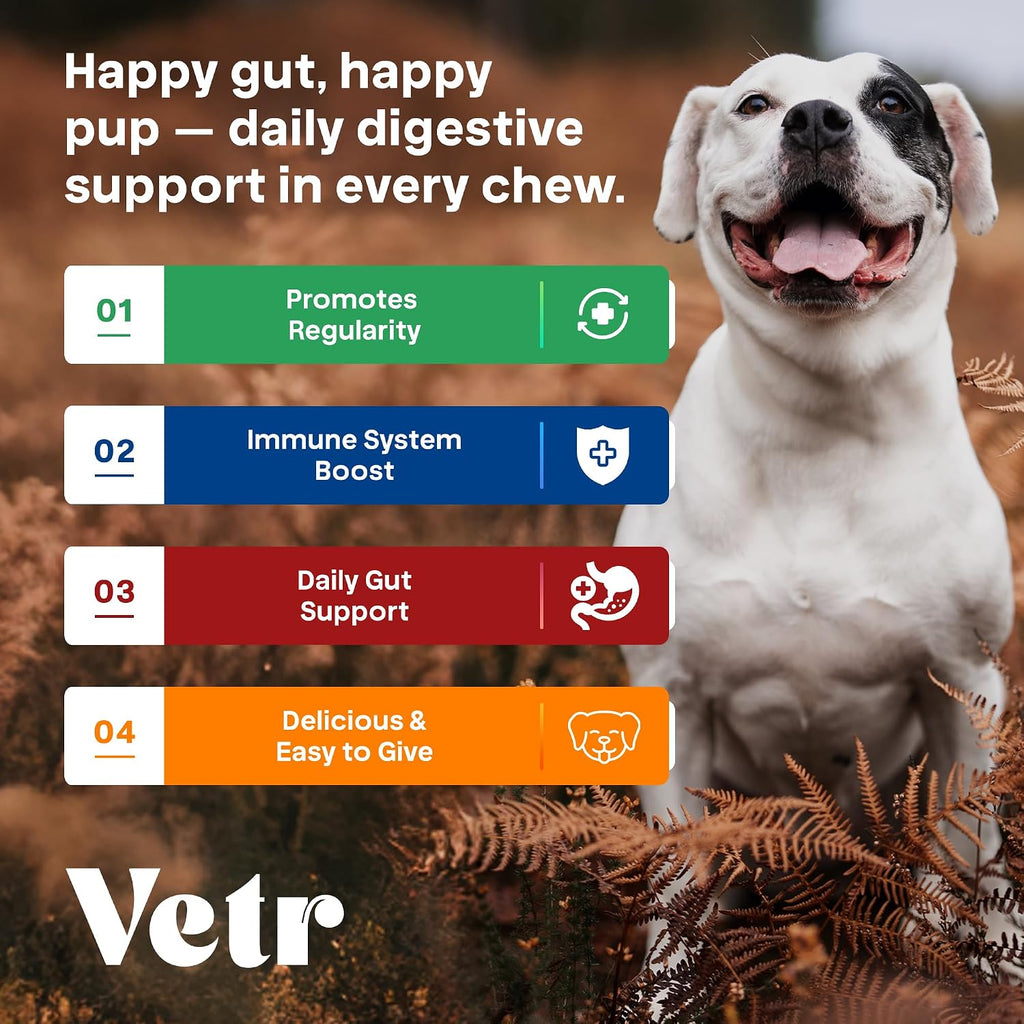 Vetr Probiotic Chews for Dogs - Chicken Flavored - Probiotics for Digestive Health - 120 Soft Chews - Vet-Formulated in USA