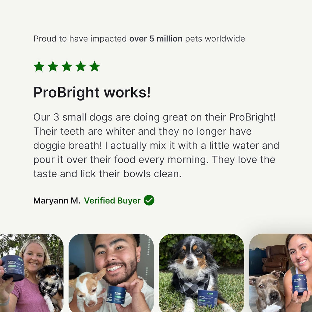 PetLab Co. ProBright Dental Powder - Dog Breath Freshener - Teeth Cleaning Made Easy – Targets Tartar & Bad Breath - Formulated for Medium Size Dogs - Pack of 2