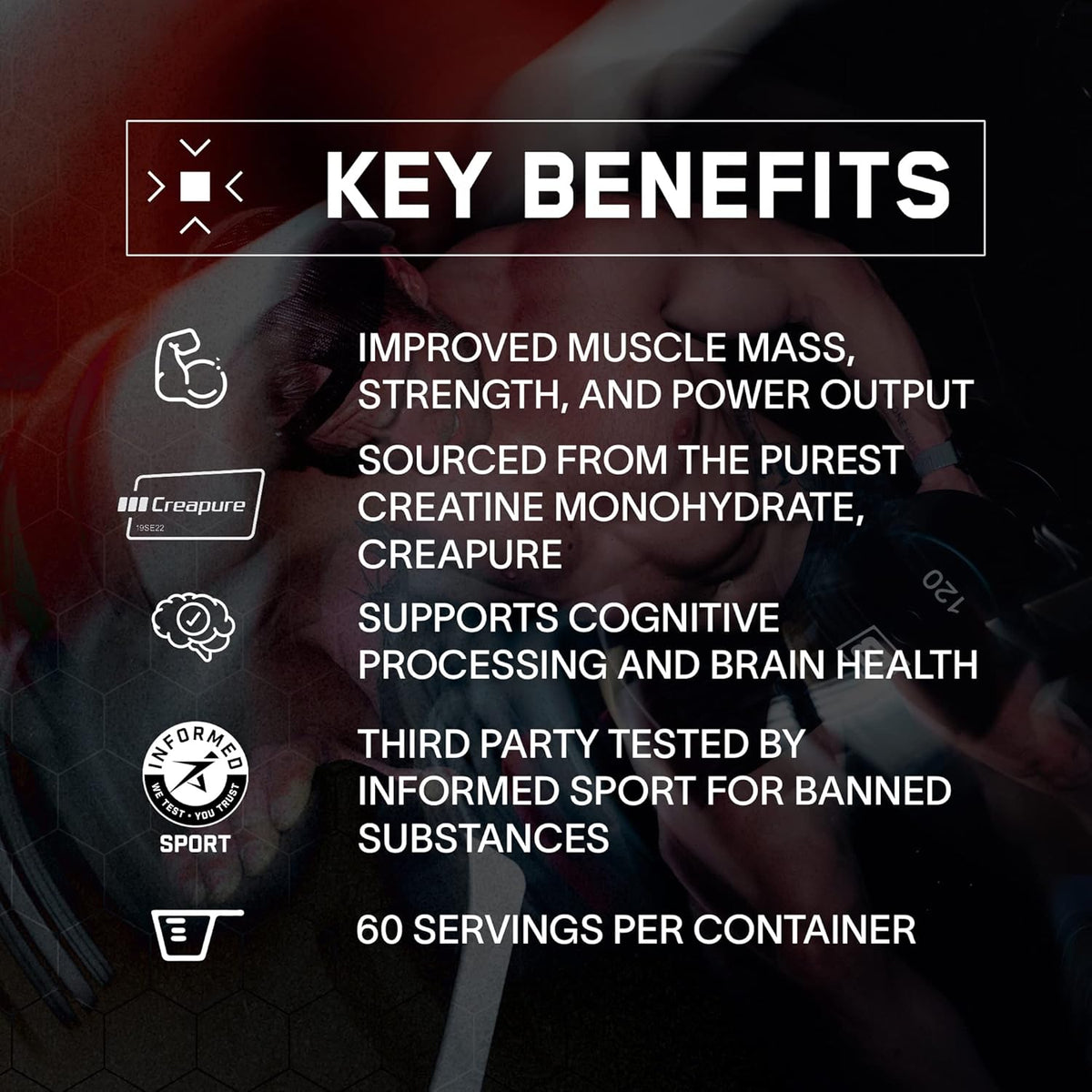 BARE PERFORMANCE NUTRITION BPN Creatine Monohydrate & Whey Vanilla Protein Powder Bundle