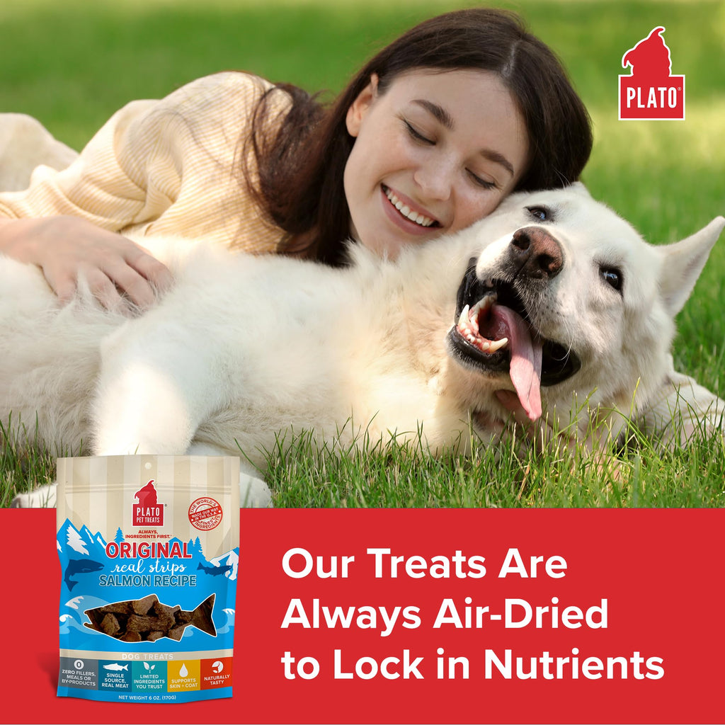 Plato Real Strips Salmon Recipe Dog Treats, Air-Dried High-Protein Soft Strips, Omega-Rich Skin & Coat Support, 18 oz