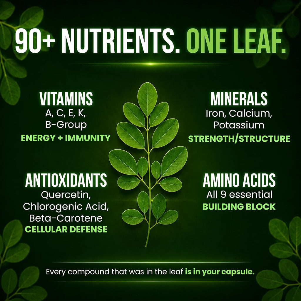 OmniBiotics Organic Moringa Capsules 1000mg Per Serving (120 Vegan Capsules) - Powerful 20:1 Moringa Oleifera Extract for Antioxidant, Immune & Cellular Support, Certified Kosher, Made in USA(60 Days)