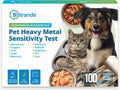 5Strands Pet Heavy Metal Sensitivity Test, Health Check for Dogs & Cats