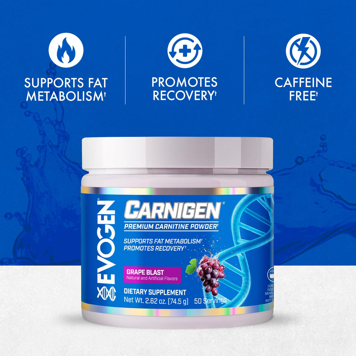 Evogen Carnigen Supports Energy and Metabolism | Raspberry Lemonade | 50 Servings
