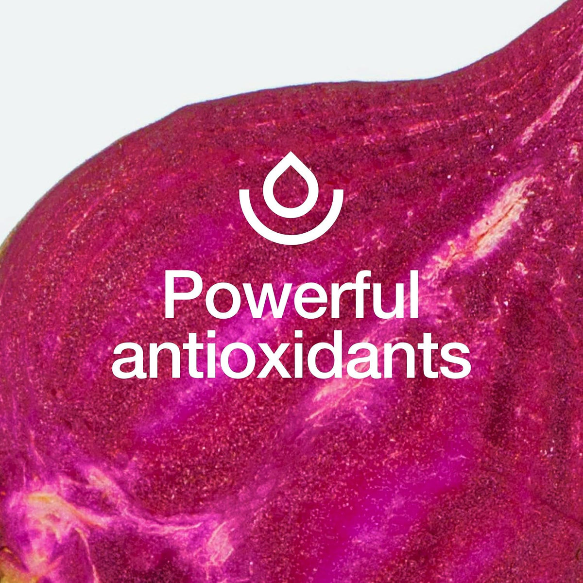 Fresh Nutrition Organic Beet Root Capsules - 2400mg Potent Dosage - Antioxidant Support - Vegan, Non GMO, Gluten-Free - 90 Capsules
