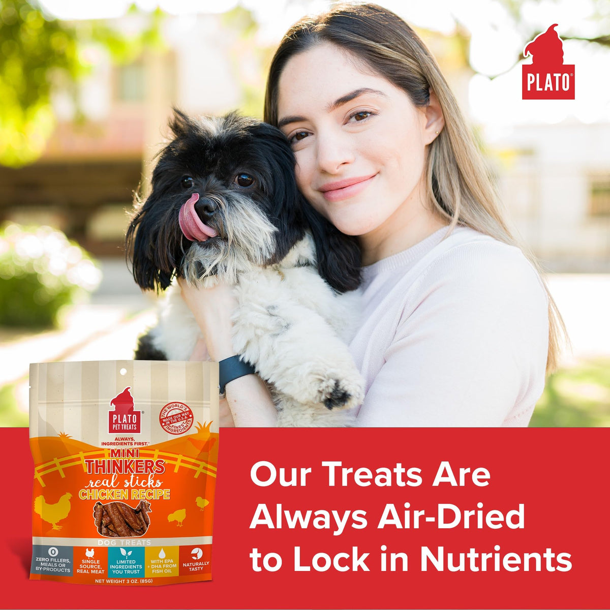 Plato Meat Sticks Salmon Dog Treats, Air-Dried High-Protein Soft Chews with Omega Fish Oil (EPA & DHA), 10 oz