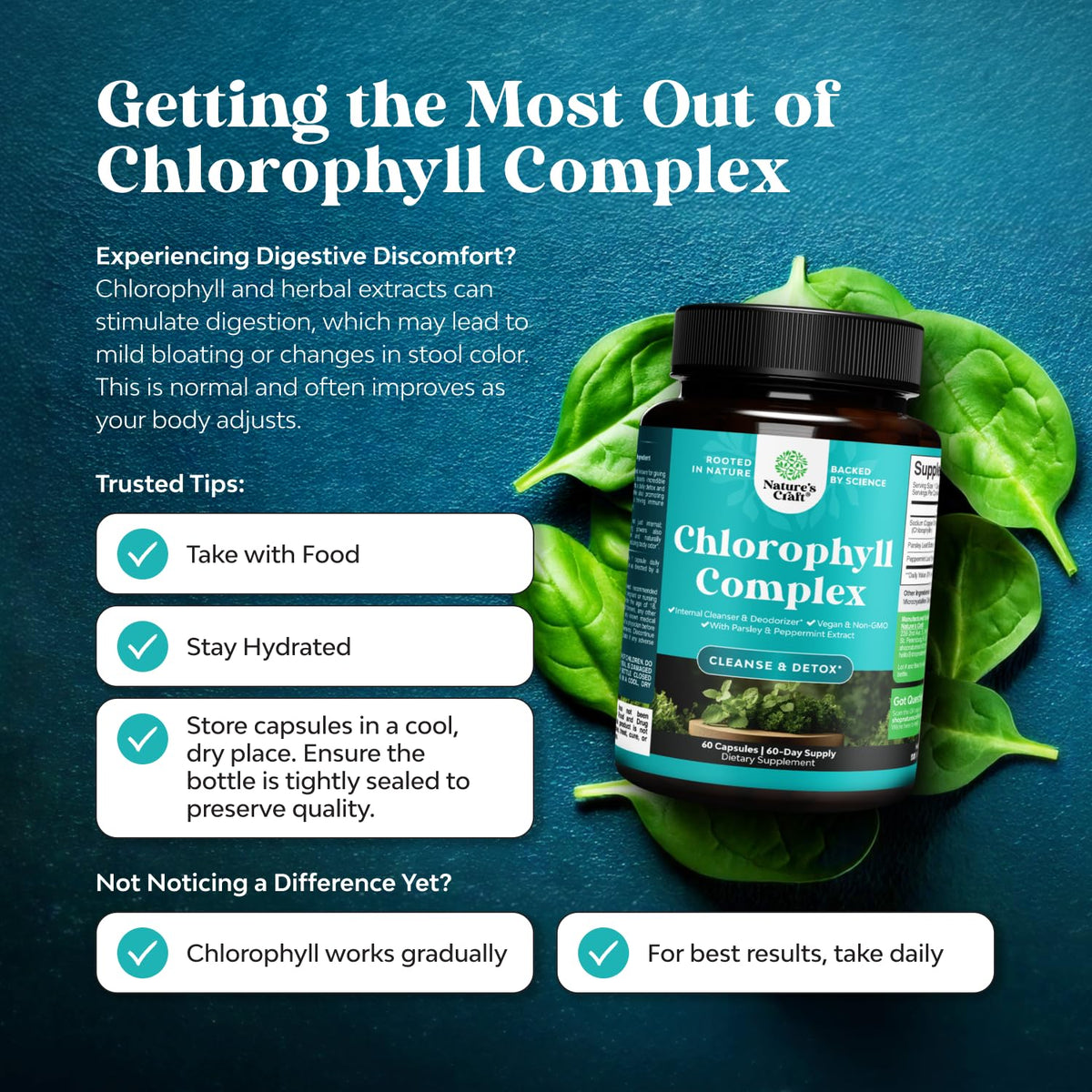 Chlorophyll Capsules for Cleanse and Detox Support - Internal Deodorant Pills for Body Odor with Mint & Parsley Extract Healthy Skin Immunity & Digestive Support - Vegan Non-GMO & Gluten Free (60ct)