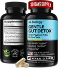 Gut Health Supplement - Herbal Regularity Support with Probiotic & Fiber | Psyllium Husk, Aloe Vera & Cascara Sagrada - Digestive, Gentle Cleanse & Bowel Movement Regularity - 60 Capsules