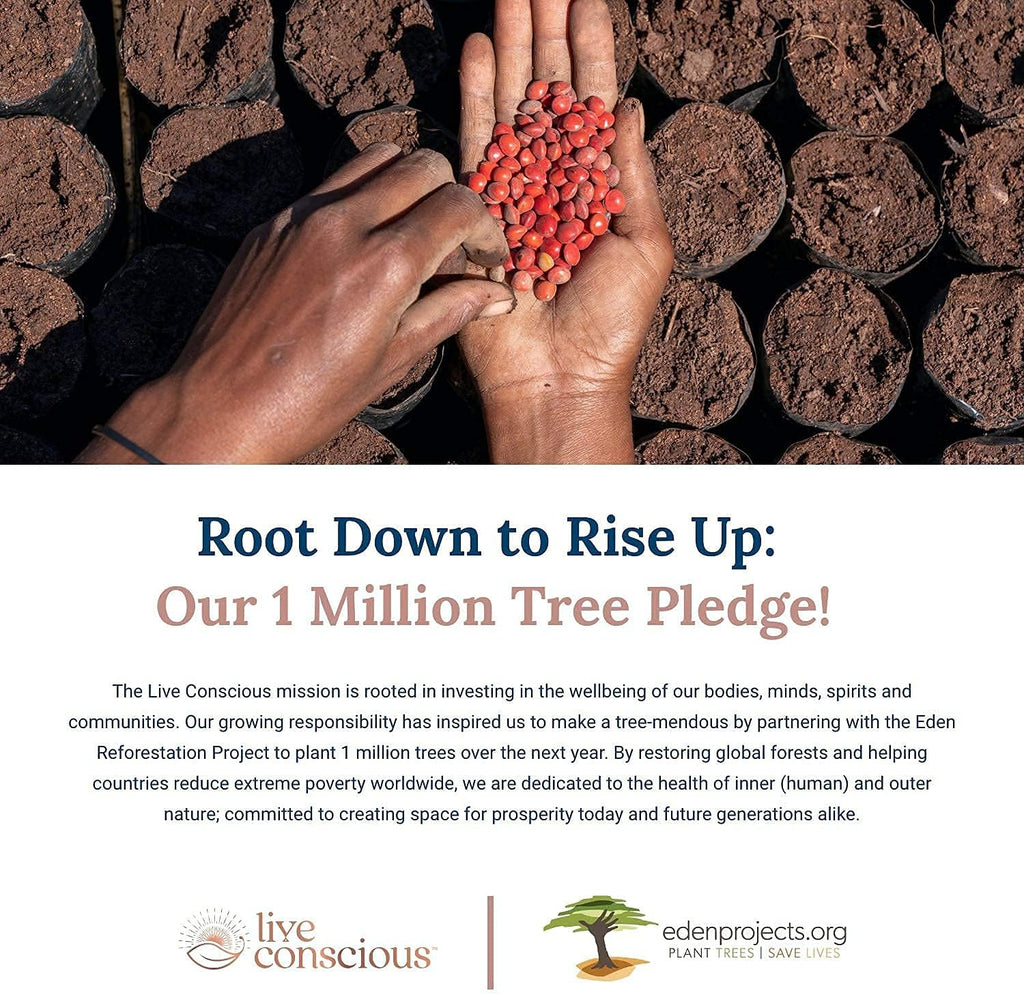 Live Conscious OmegaWell Fish Oil & MagWell Magnesium Zinc & Vitamin D3 | Bone & Heart Health, Immune System Support + Heart, Brain & Joint Support