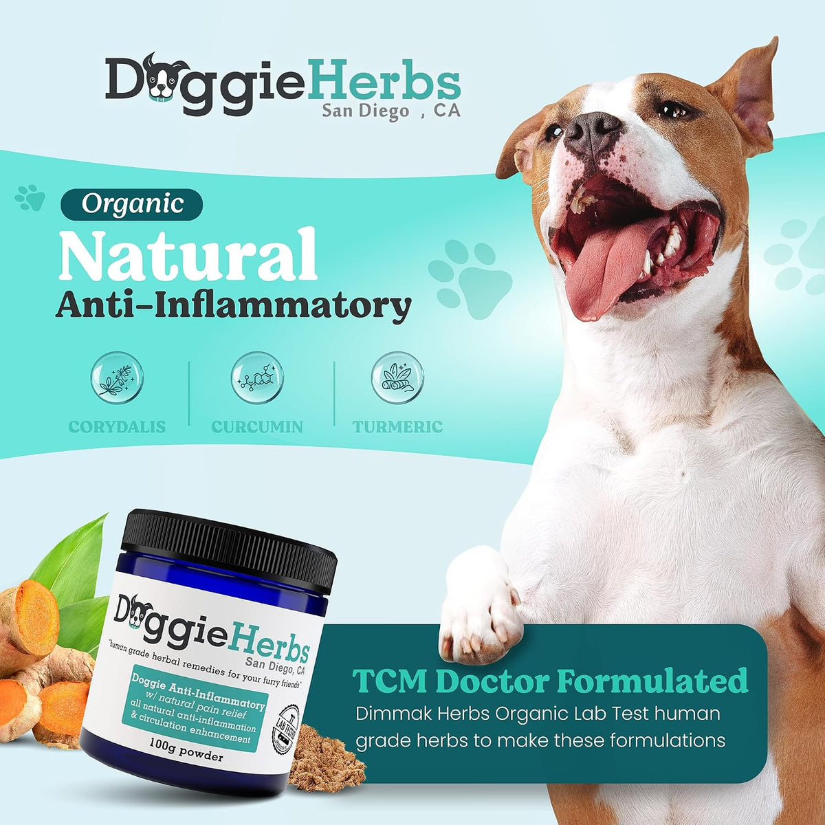 Natural Anti-Inflammatory Support – Clinical Grade Corydalis, Curcumin & Turmeric Blend – TCM Doctor Formulated Powder for Stiffness, Aches & Hip Dysplasia Relief 100g