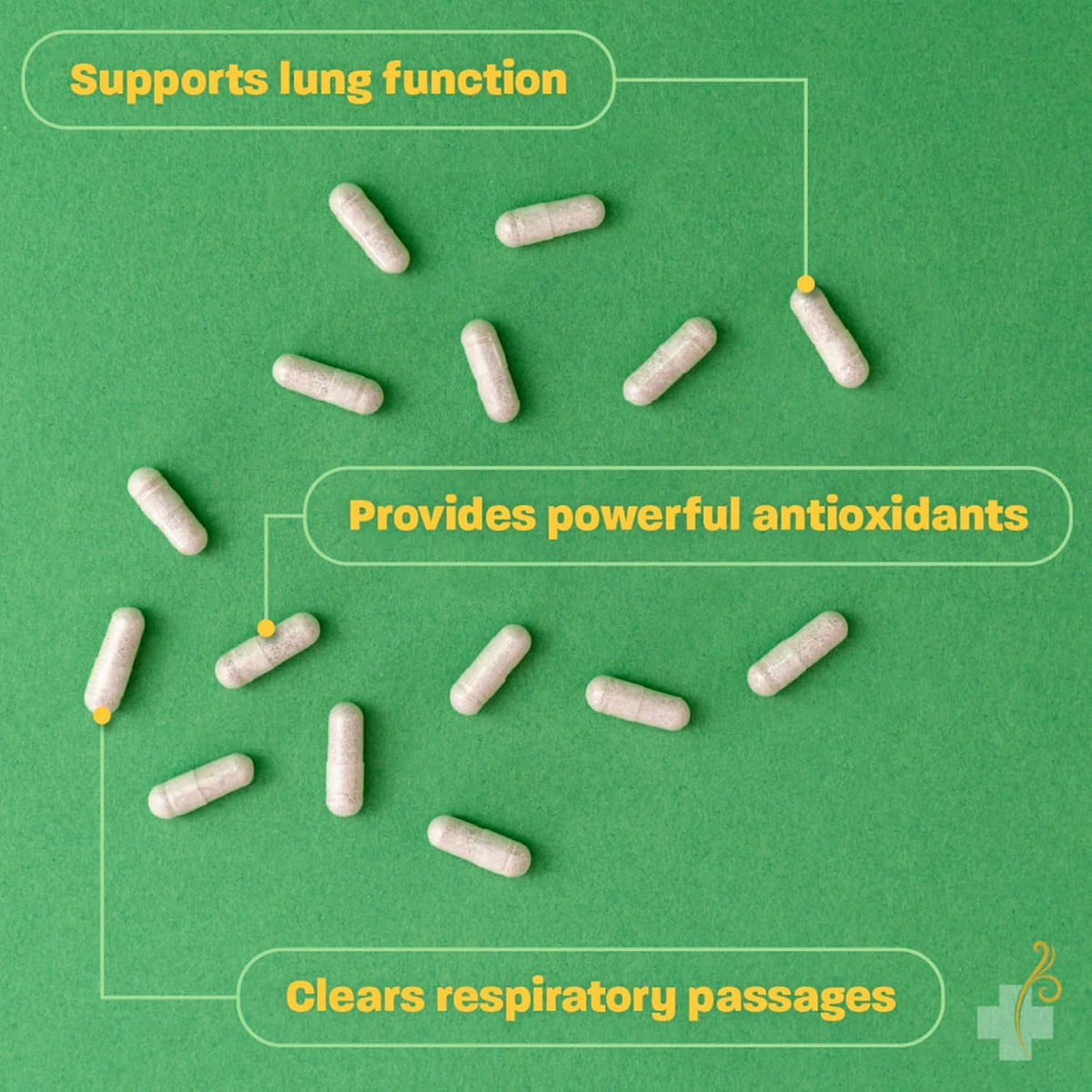 Redd Remedies Adult Sinus Support, 72 Capsules, and Lung Care, 80 Capsules