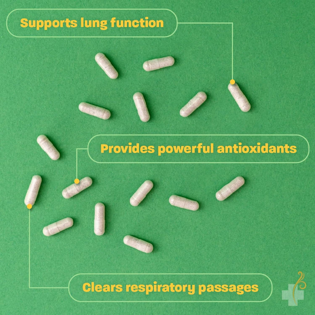 Redd Remedies, Lung Care, Supports Easy Breathing and Respiratory Health, 80 Vegan Capsules