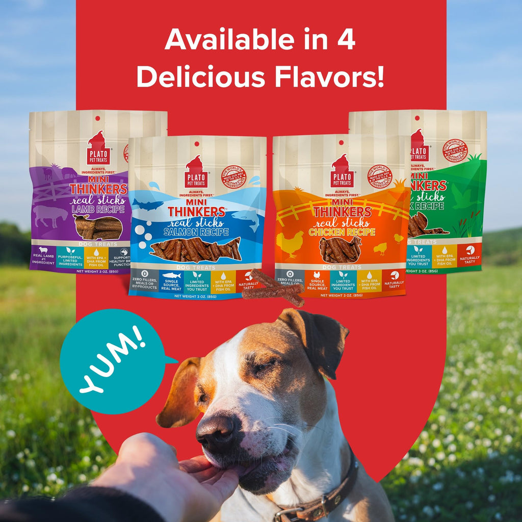 Plato Meat Sticks Salmon Dog Treats, Air-Dried High-Protein Soft Chews with Omega Fish Oil (EPA & DHA), 10 oz