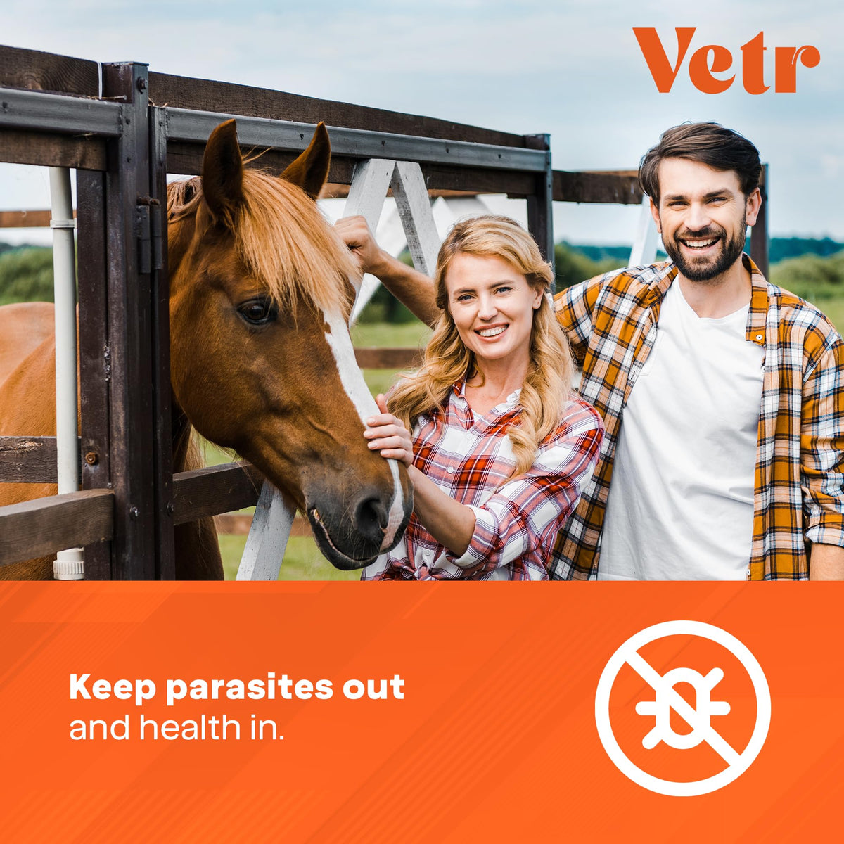 Ivermectin for Horses & Sheep 1.87% Concentration, 6cc, 7 Pack