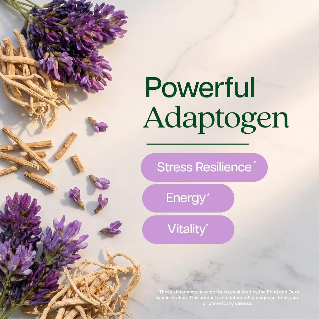 Astragalus Root, 8 Month Supply, Immune Support, 20:1 Astragalus Extract | 20:1 Astragalus Extract, 70% Polysaccharides, High-Concentration Adaptogen Support for Energy & Vitality, Vegan, 250 Capsules