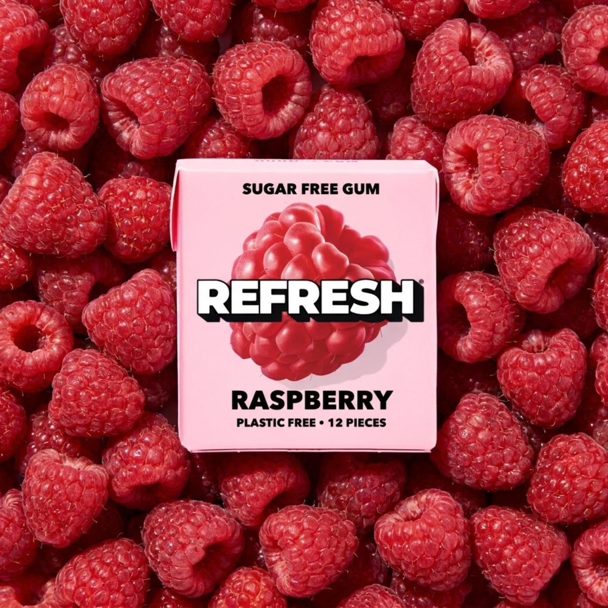 Refresh Sugar Free Chewing Gum with Xylitol, Garden Mint, 12 Pack