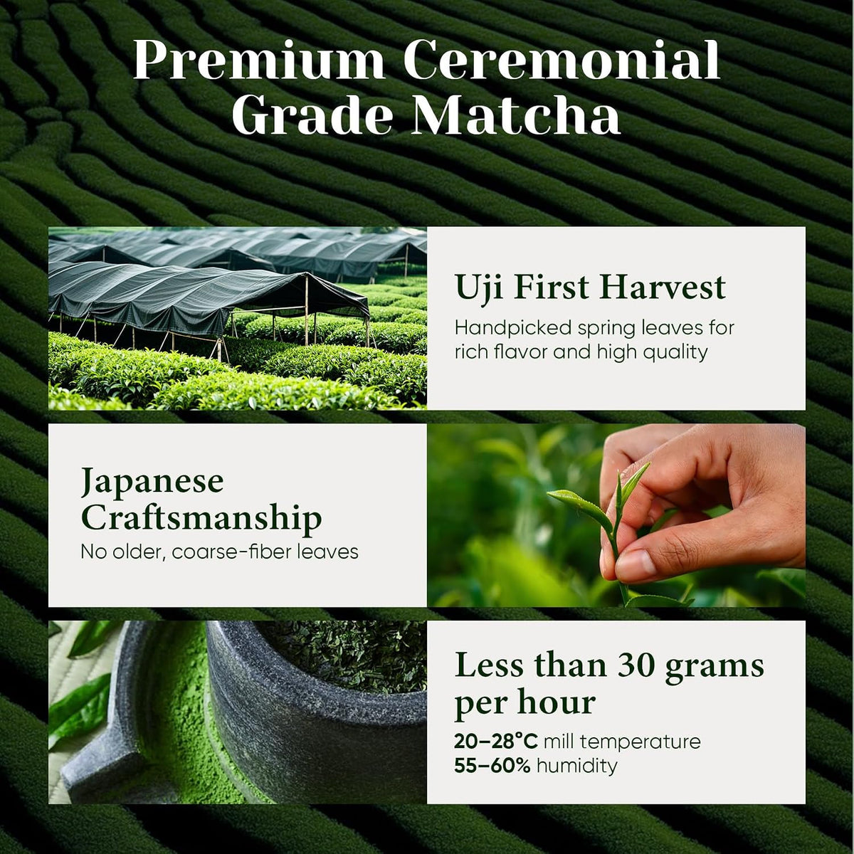 Ceremonial Grade Matcha Green Tea Powder, First Harvest, Shade Grown, 30g | 100% Pure Matcha Powder Ceremonial Grade, w/ No Additives, Unsweetened, Vegan, Gluten-Free, Smooth Flavor for Tea and Lattes