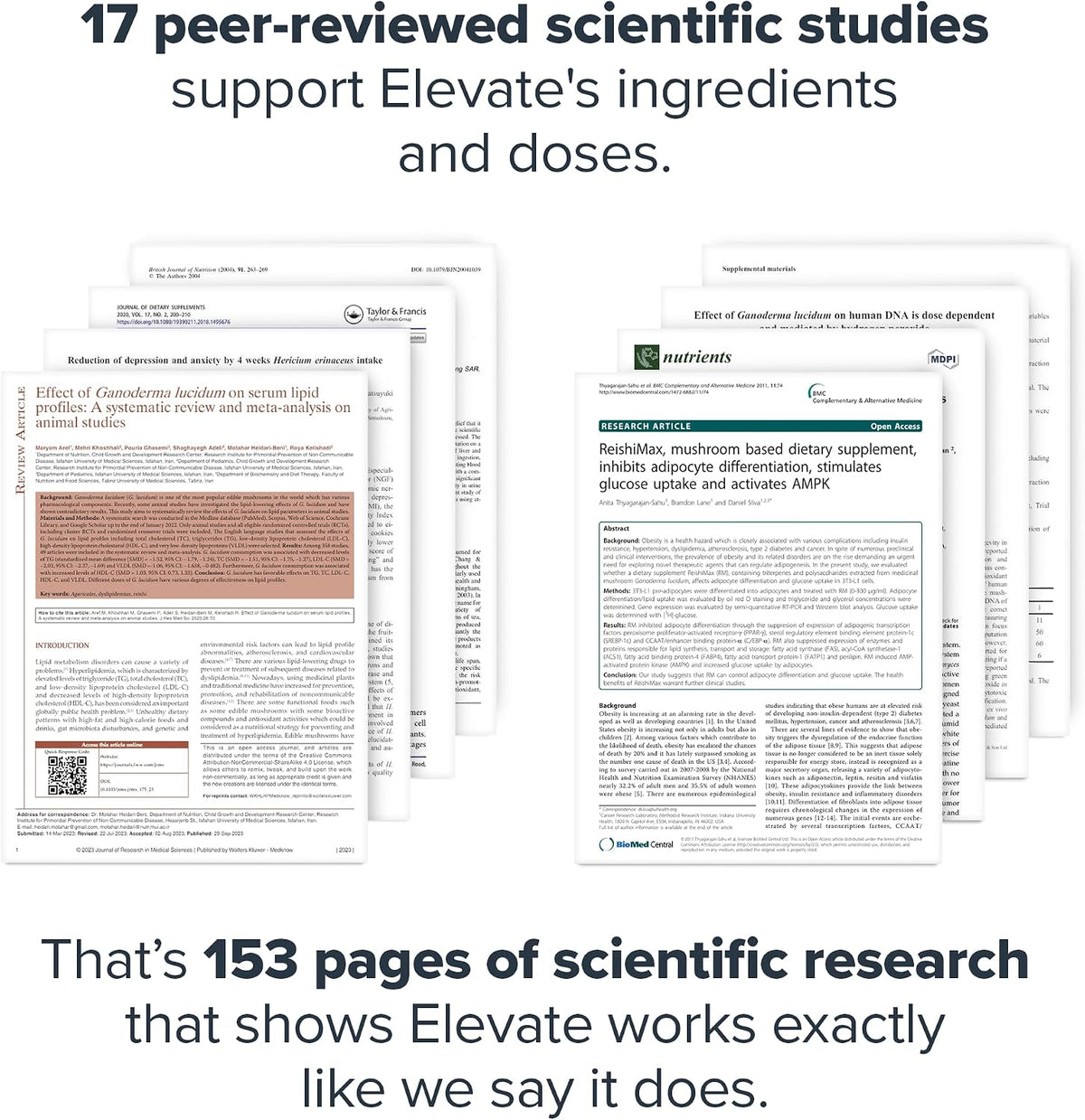 LEGION Elevate Mushroom Supplement Powder - Mushroom Blend of Lions Mane Powder, Reishi Powder & Beta-Glucan- Mushroom Powder to Boost Immune System, Mood & Performance Dutch Chocolate (30 Servings)