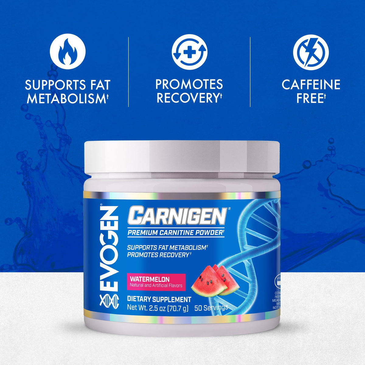 Evogen Carnigen Supports Energy and Metabolism | Raspberry Lemonade | 50 Servings