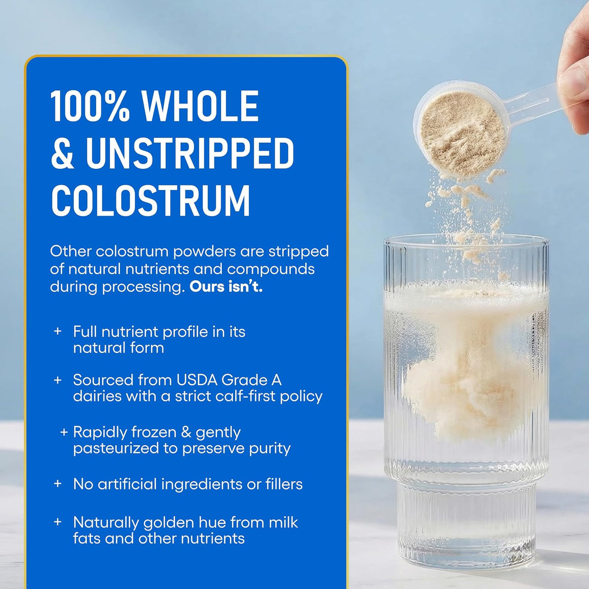 Physician's CHOICE Colostrum Gold Powder - First-Day Milking for Gut & Immune Support - Potent IgG Antibodies & Bioactive Nutrients - Whole & Unstripped - Easy to Mix - Made in the USA - 60 Servings