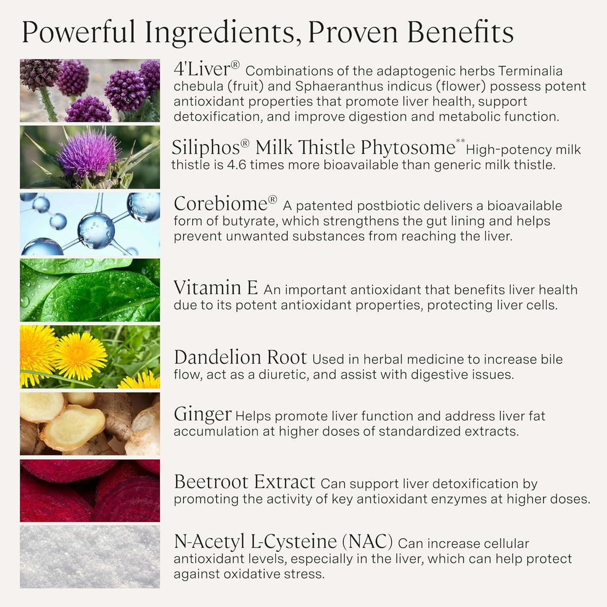 Stonehenge Health Dynamic Liver – Siliphos Milk Thistle Formula – Liver Support & Antioxidant Support, Gut-Liver Axis, Selenium, Zinc, Vitamin E, Ginger, Beetroot Extract Non-GMO, 60 Veg Caps (2 Pack)