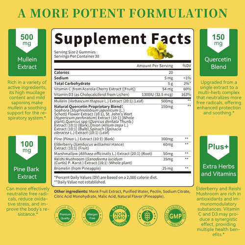 (2 Pack) Mullein Gummies for Lung Cleanse & Lymphatic Drainage* -120 Count | Extra Strength Mullein Leaf Extract w/Quercetin, Elderberry & Marshmallow for Respiratory & Immunity - for Women & Men-Vegan