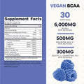 Type Zero Ultra Clean Vegan BCAA Powder + Electrolytes (Blue Raspberry) | 6g Per Serving, 2:1:1 Sugar-Free, No Sucralose, BCAAs Amino Acids Supplement, After Workout Drink, 30 Servings