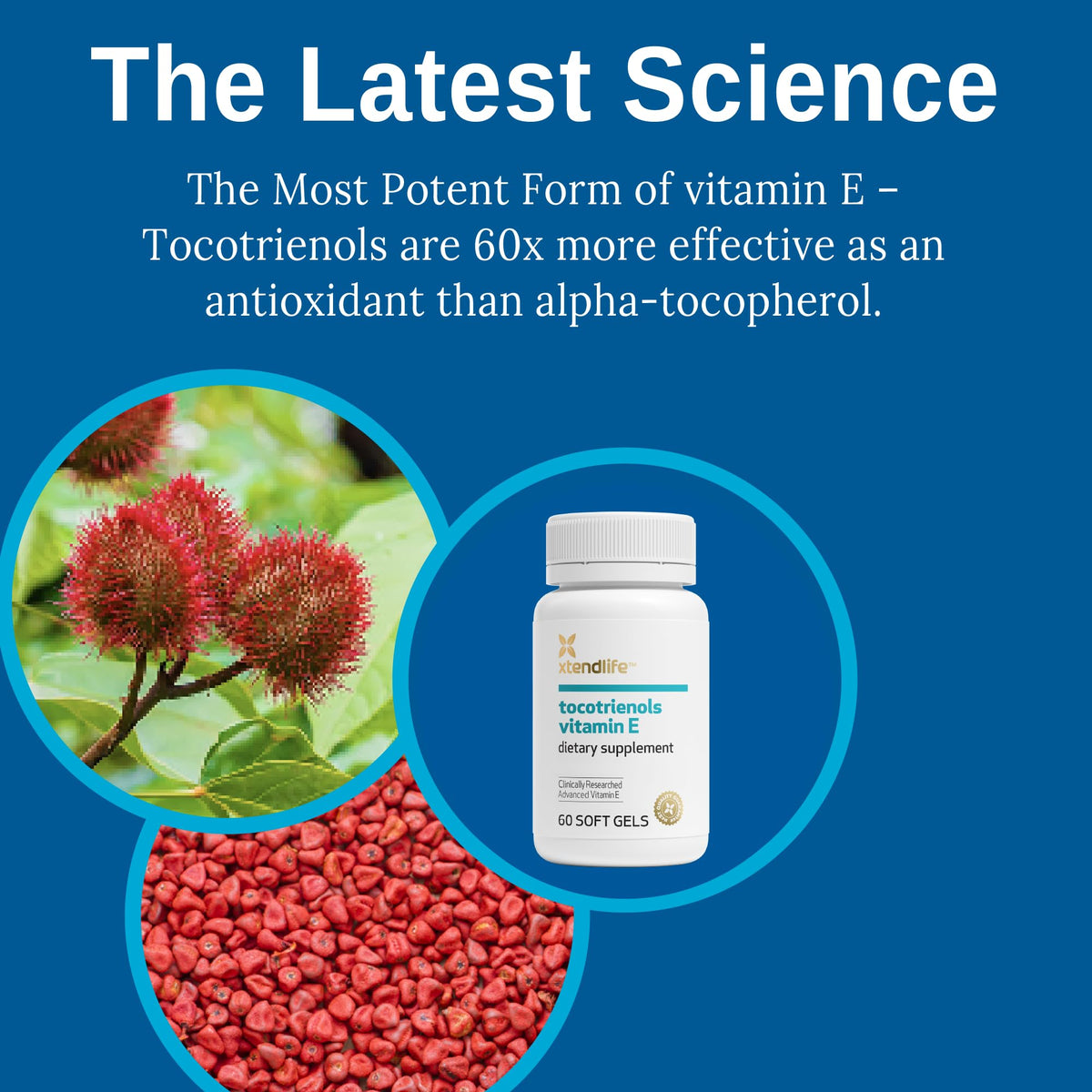 Xtendlife Multi-Xtra Multivitamin for Immune, Heart & Energy Support - 40+ Bioavailable Vitamins, Minerals, Antioxidants & Herbs - for Men, Women & Children - 30 Day Supply