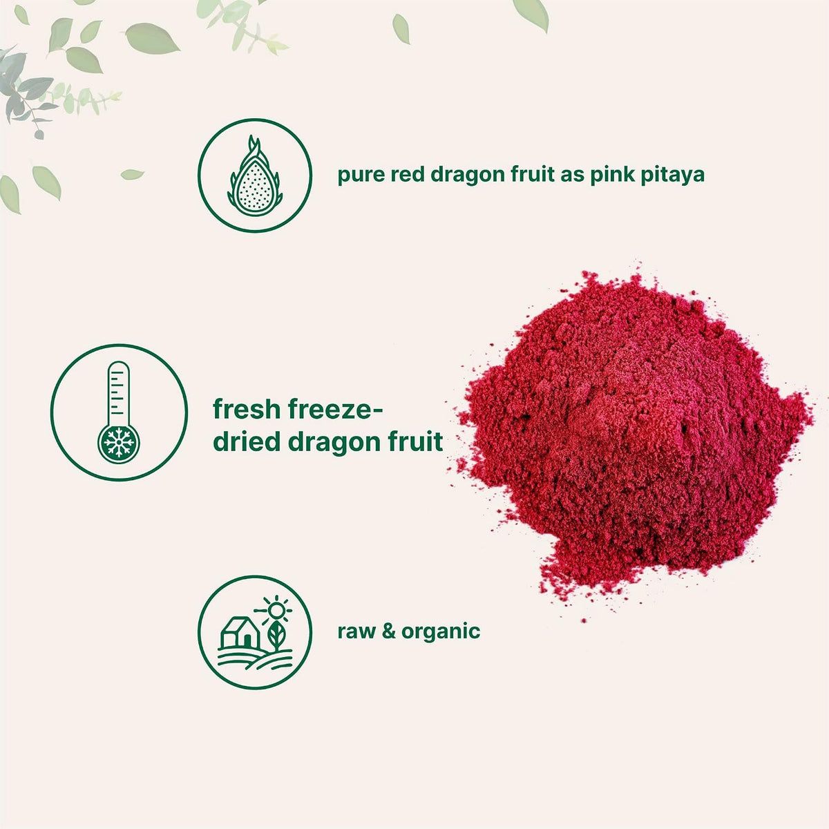 Micro Ingredients Organic Dragon Fruit Powder, 10oz | Natural Fruit Flavor | Freeze-Dried Pink Pitaya Source | No Sugar & Additives | Great for Drinks, Smoothie, & Beverages | Non-GMO & Vegan Friendly