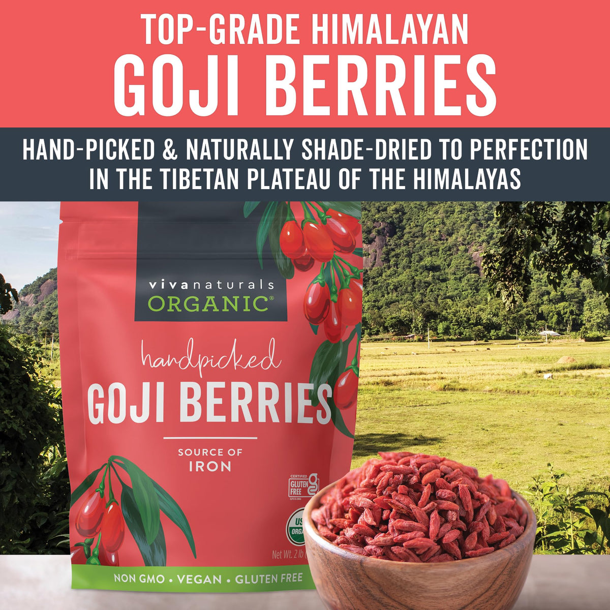 Viva Naturals Organic Dried Goji Berries, 1 lb (454 g) – Non-GMO, Vegan Wolfberries, Perfect for Goji Berry Tea, Smoothies, Baking & Snacking