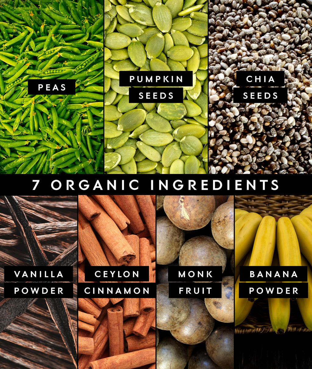 Truvani Organic Plant Based Protein Powder | Vanilla | 1 Serving | Vegan | 20g Pea Protein | Keto | Gluten & Dairy Free | Low Carb | No Added Sugar