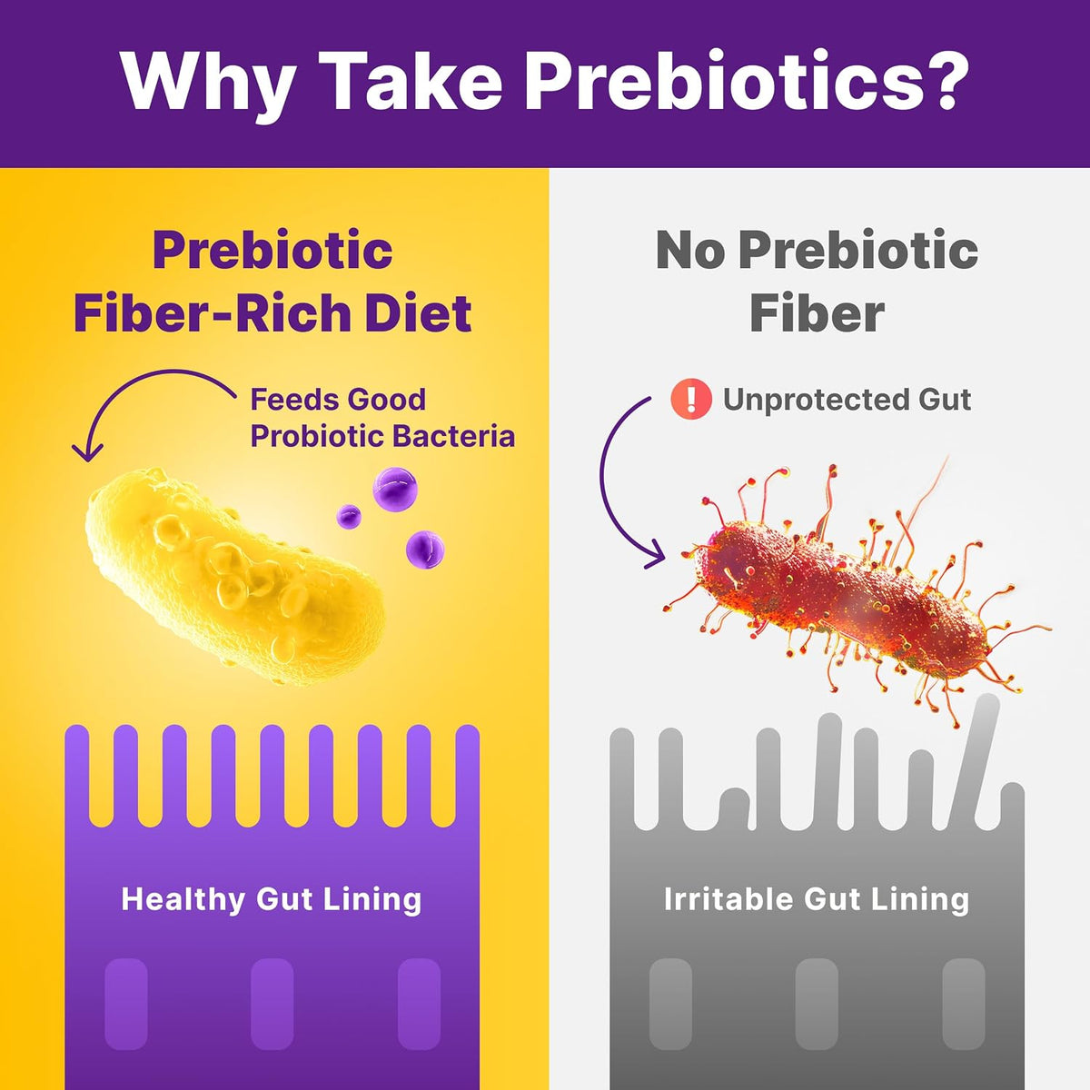 InnovixLabs Prebiotic Fiber Powder for Digestive & Gut Health, High Fiber Supplement for Women & Men, Made with Chicory Root, Acacia Fiber, Inulin & Soluble Fibers, Sugar-Free, Vegan, 30-Day Supply - PrimeBioHealth - canada supplements