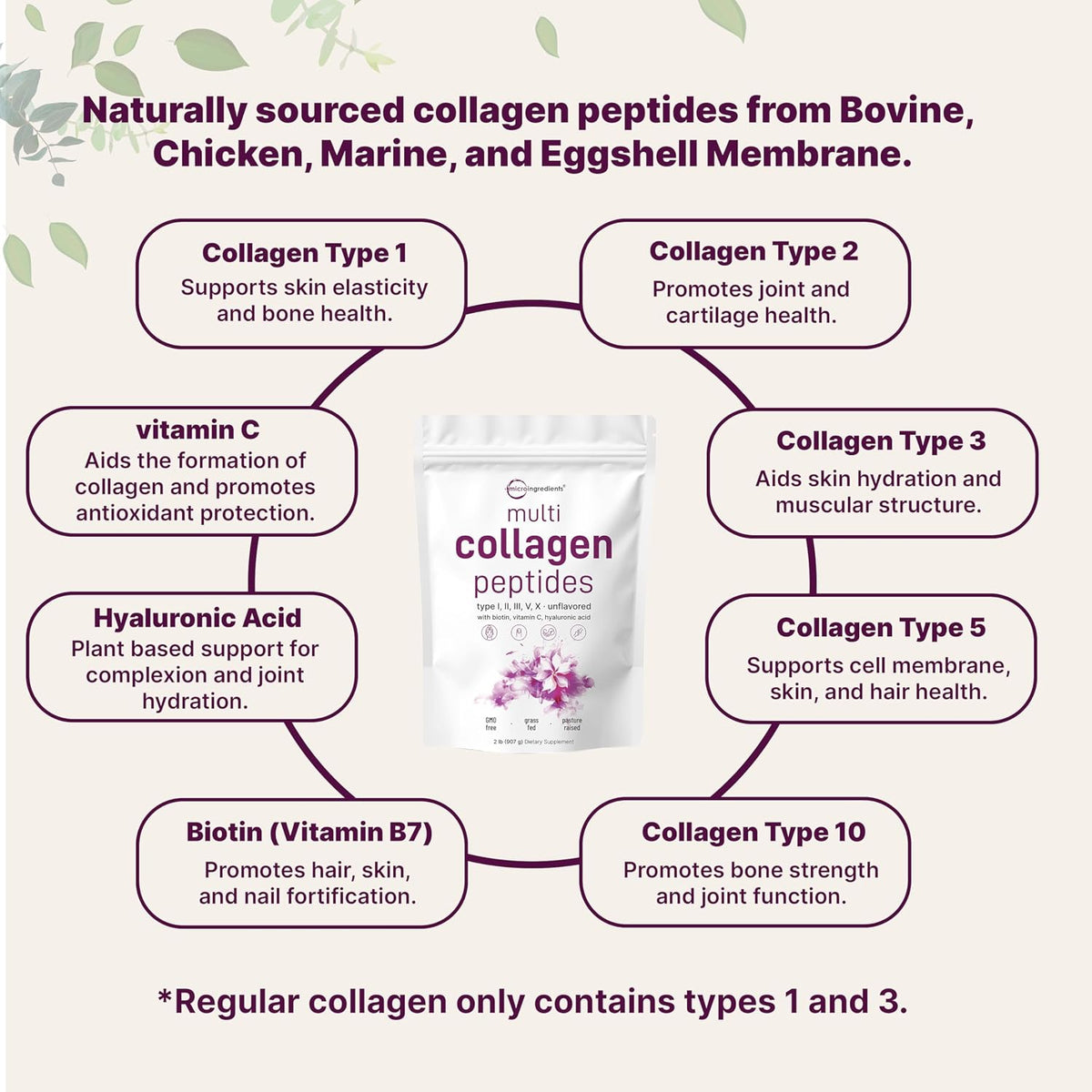 Micro Ingredients Multi Collagen Protein Powder 2 Pounds & Instant Colostrum Powder Bundle 2 Pack | Grass-Fed Collagen Peptides | Premium Bovine Mother’s First Milk - PrimeBioHealth - canada supplements