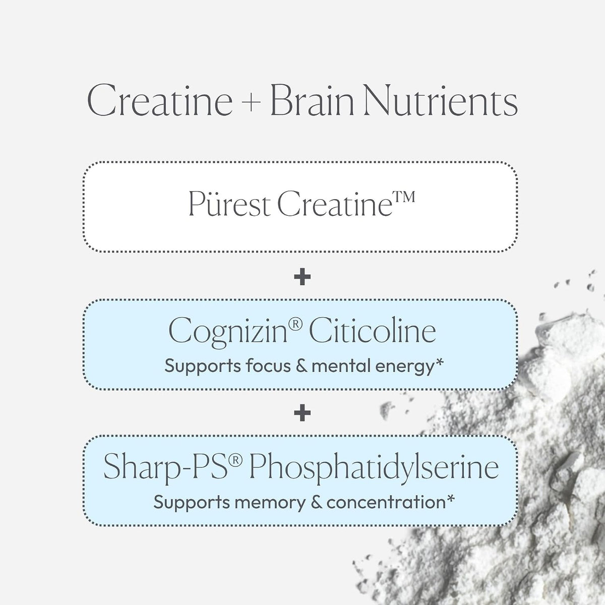 Papillex Creatine Well – Clean Creatine Powder for Brain Energy & Muscle Tone with Cognizin & Sharp•PS - PrimeBioHealth - canada supplements