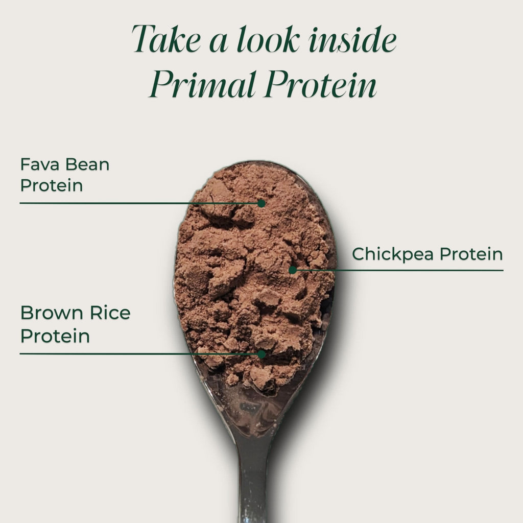 Primal Harvest Protein - Vegan Chocolate Protein Powder, Gluten & Dairy Free - PrimeBioHealth - canada supplements