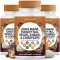 Superfood MD Lions Mane Mushroom Supplement with Turkey Tail Reishi Cordyceps Chaga with Marshmallow Root - 120 Count - PrimeBioHealth - canada supplements